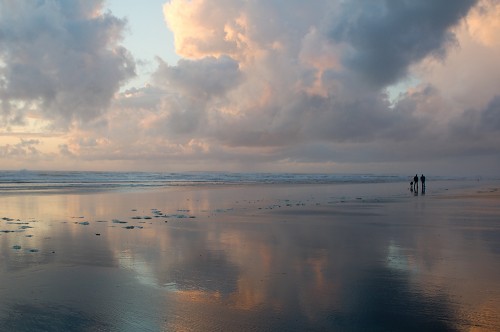 DSC_0339